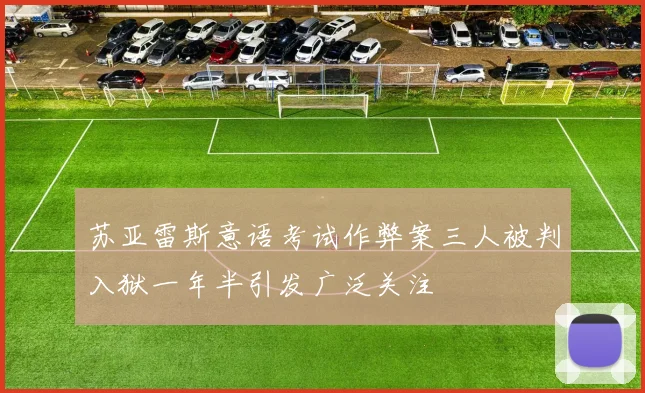 苏亚雷斯意语考试作弊案三人被判入狱一年半引发广泛关注
