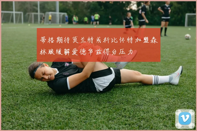 蒂格期待莫兰特或科比怀特加盟森林狼缓解爱德华兹得分压力