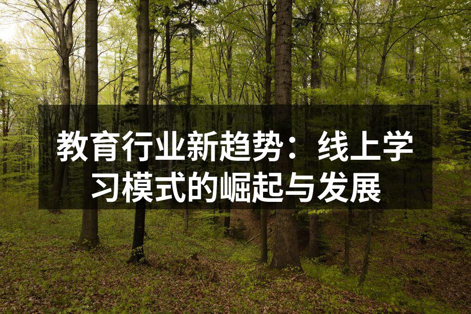 教育行业新趋势：线上学习模式的崛起与发展